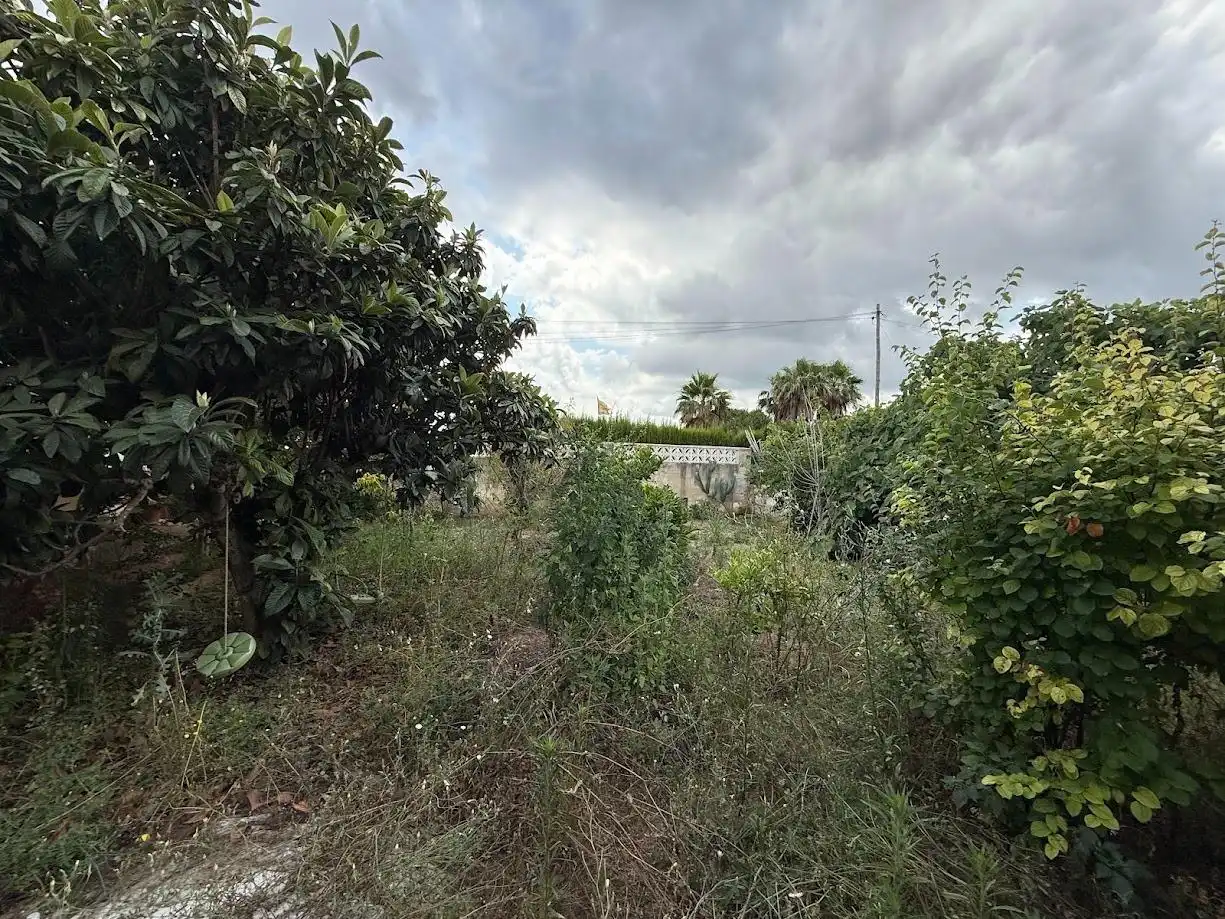 Detached house with pool for sale in Montserrat, imagen 15