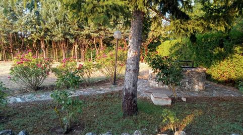 PARCELA EN DEHESA DE PEÑALBA, immagine 3