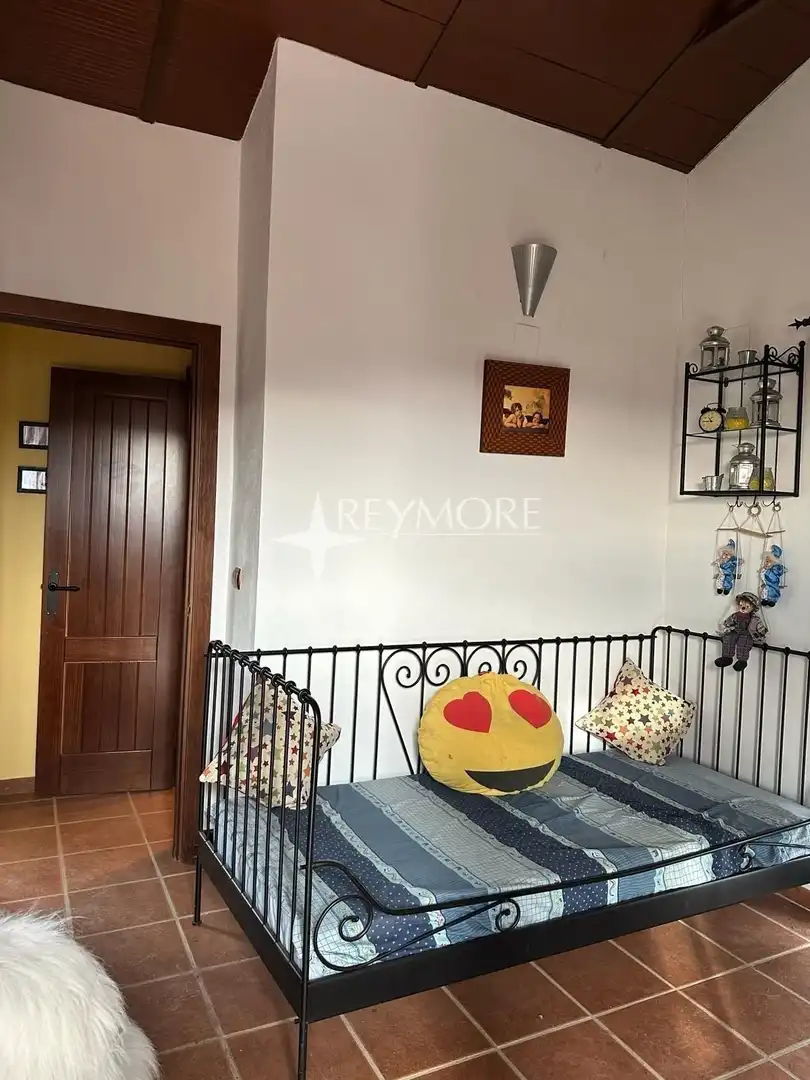 Sala de estar de Finca rústica en venta en La Puebla de los Infantes con Aire acondicionado, Calefacción y Jardín privado