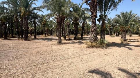 Foto 5 de Terreno en venta en La Algoda - Matola - Llano de San José, Alicante