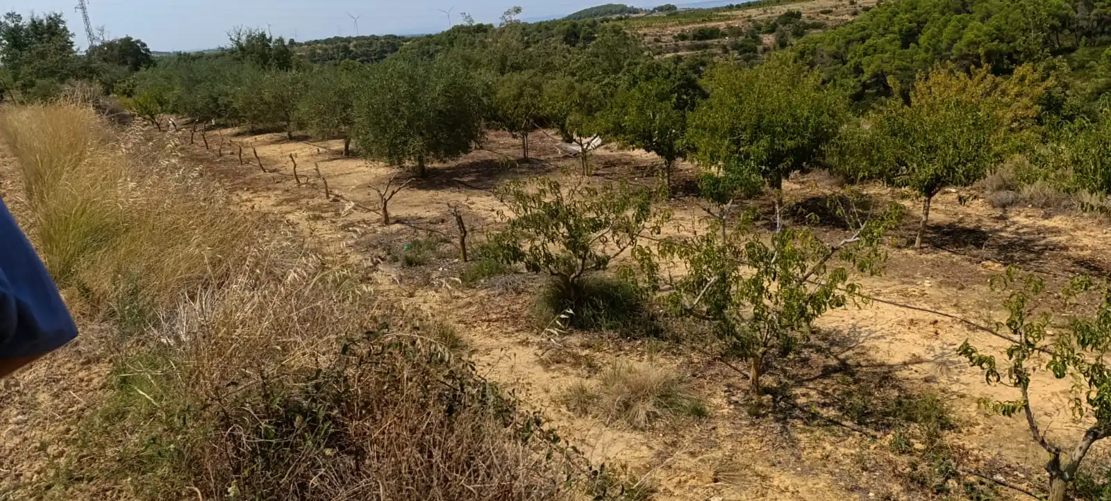 Residencial en venda en Vilalba dels Arcs