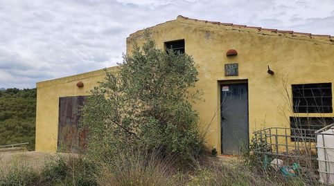 Casa Rustica y finca de olivos arbequina de 68.054m con pozo de agua en partida Sinyoles de la La Sénia Tarragona., imatge 4