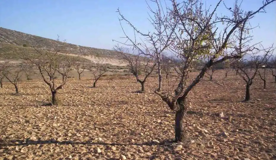 Rural land for sale in PL 20, imagen 8