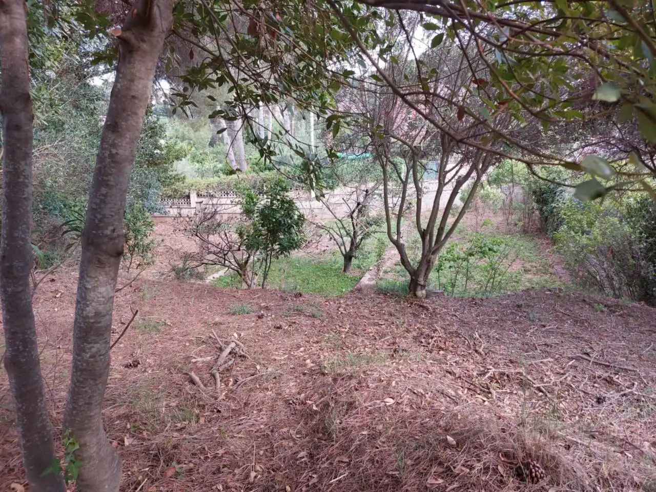 Residential land for sale in Calle Cova Simanya, imagen 14