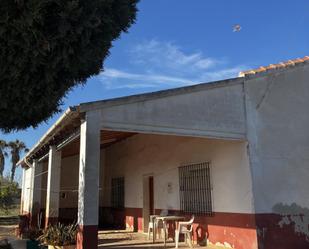 Vista exterior de Finca rústica en venda en Elche / Elx