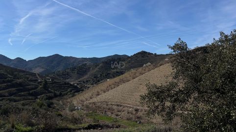 Foto 5 de Terreno en venta en Porrera, Tarragona