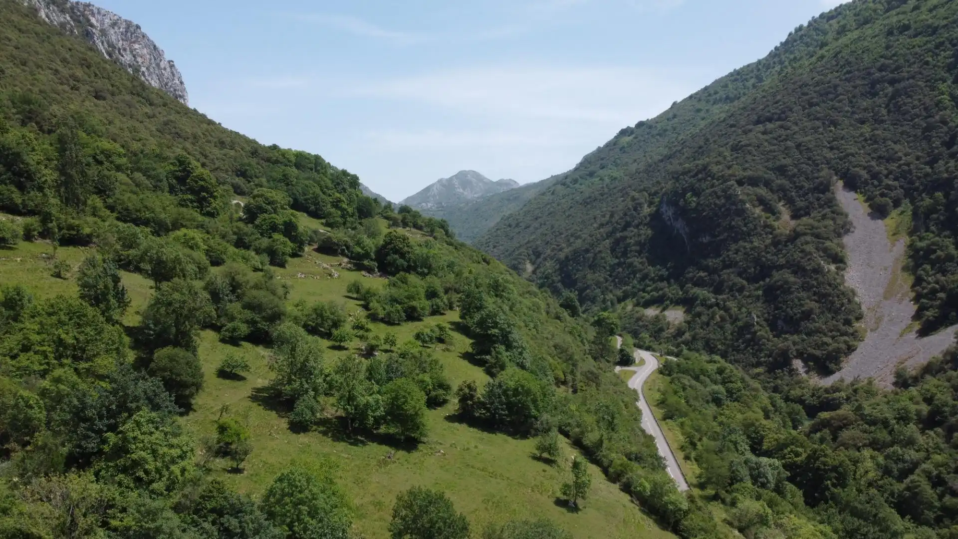 Vista exterior de Terreno en venta en Peñamellera Alta