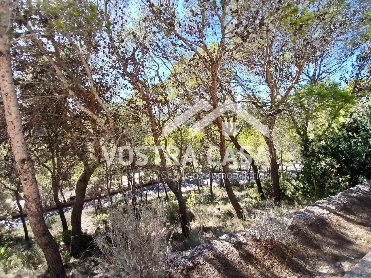 Terreno en venta en Godelleta