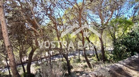 Photo 5 of Land for sale in Dieciseis, -1, Godelleta, Valencia