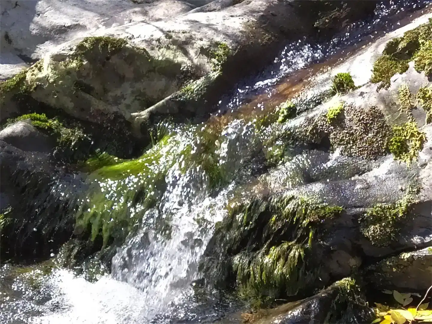Piscina de Planta baja en venta en Pinofranqueado con Aire acondicionado