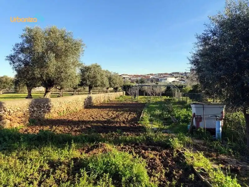 Garten von Country house zum Verkauf in Villanueva del Fresno mit Klimaanlage und Alarm