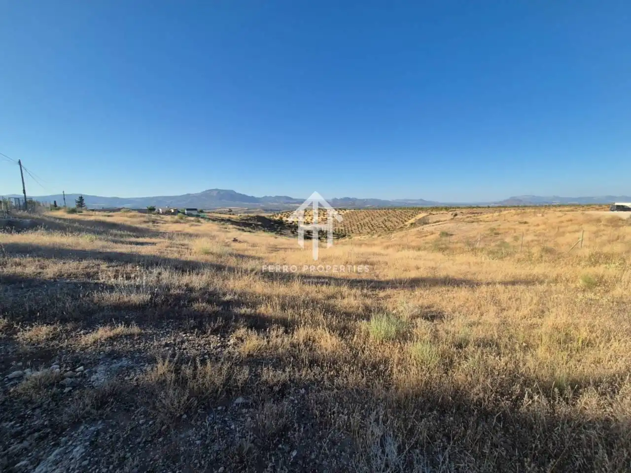 Rural land for sale in Moraleda de Zafayona, imagen 15