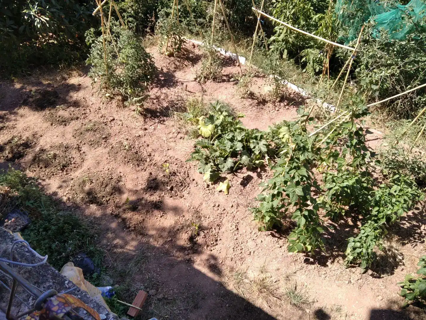 Piso en venta en Cervelló