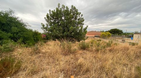 Foto 5 de Terreno en venta en N/a, -1, Pedralba, Valencia