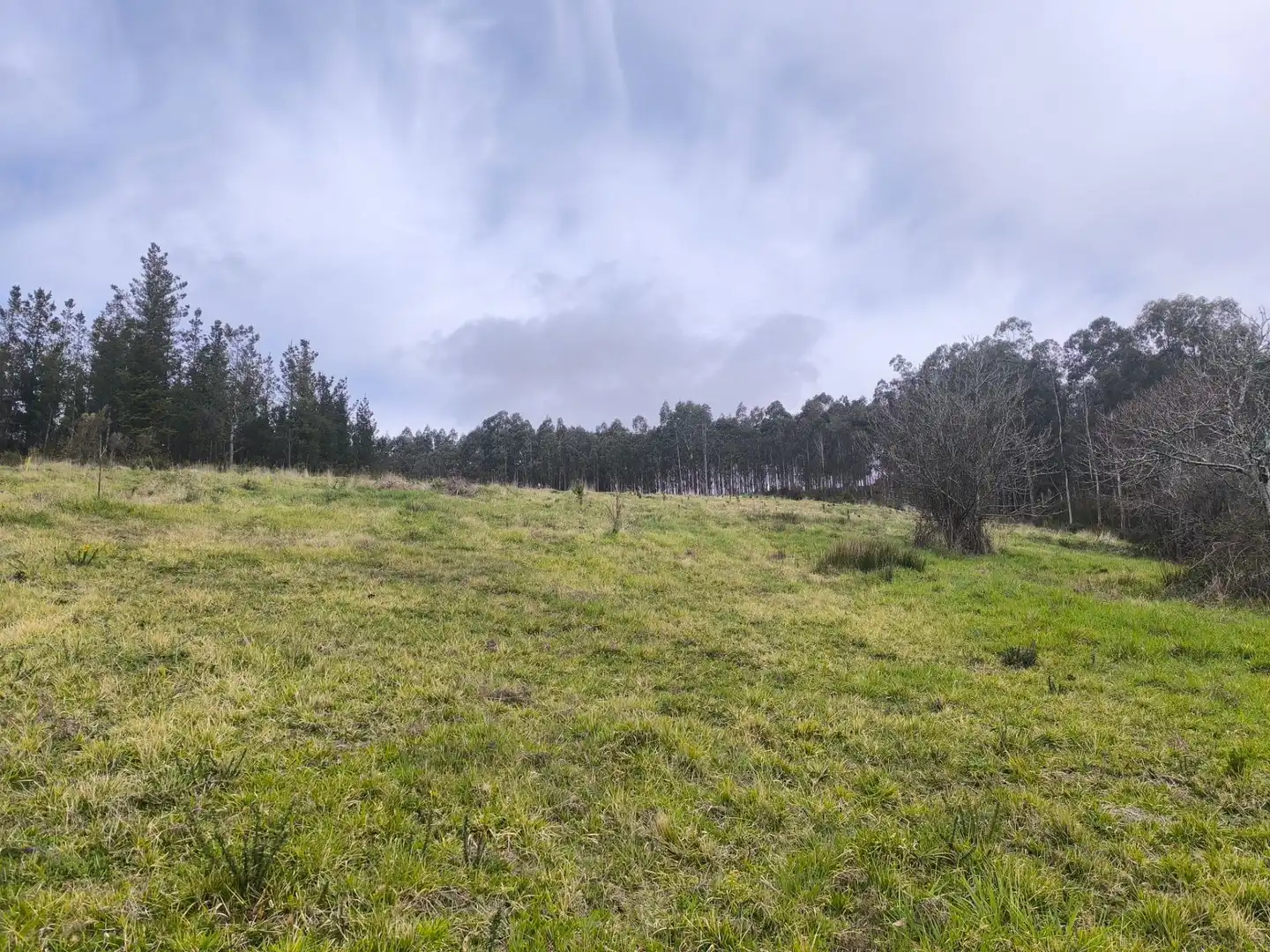 Casa o xalet en venda en Palas de Rei amb Jardí privat