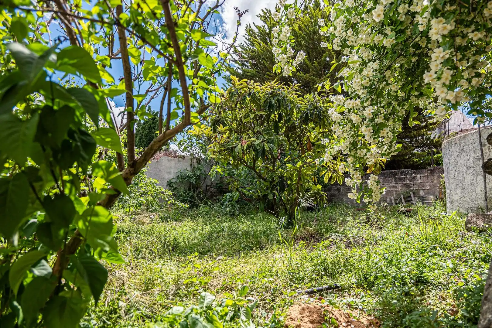 Casa rústica amb jardí en venda a Calle Real, imagen 32