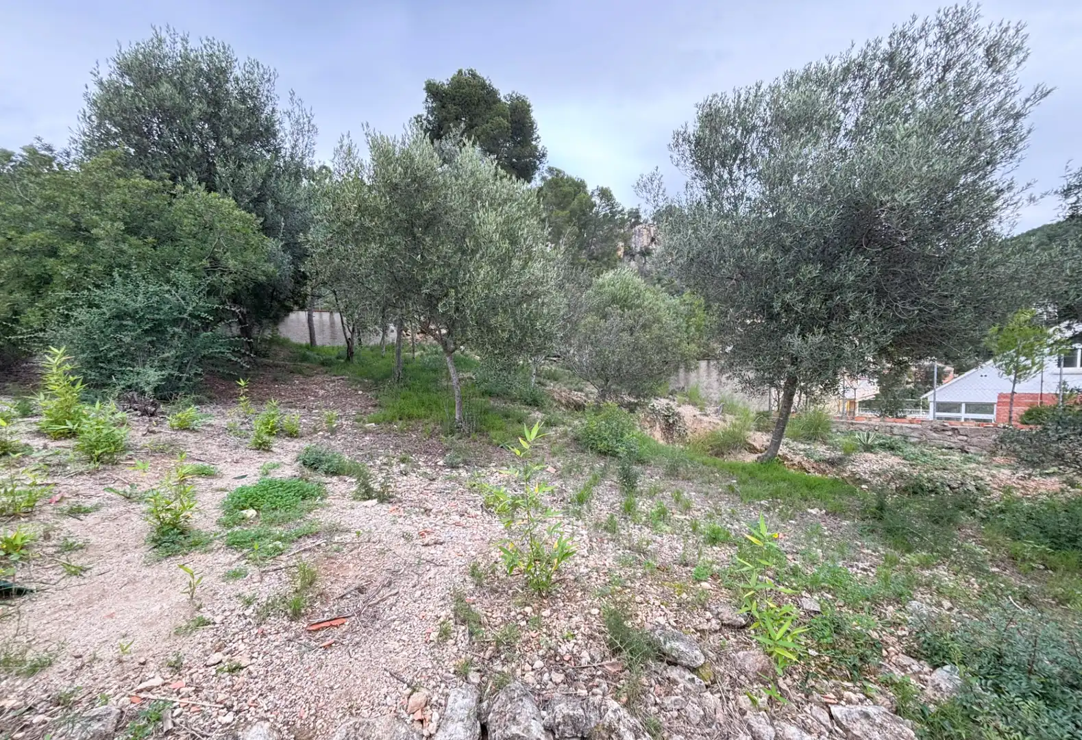 Casa o xalet en venda en La Palma de Cervelló amb Aire condicionat, Calefacció i Jardí privat