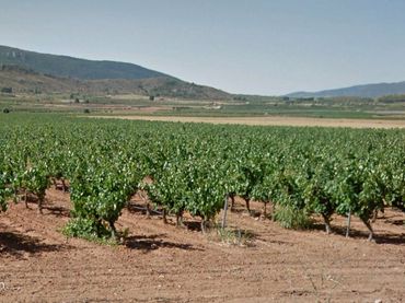 Terreno rustico in vendita a Diseminado Diseminados 1142