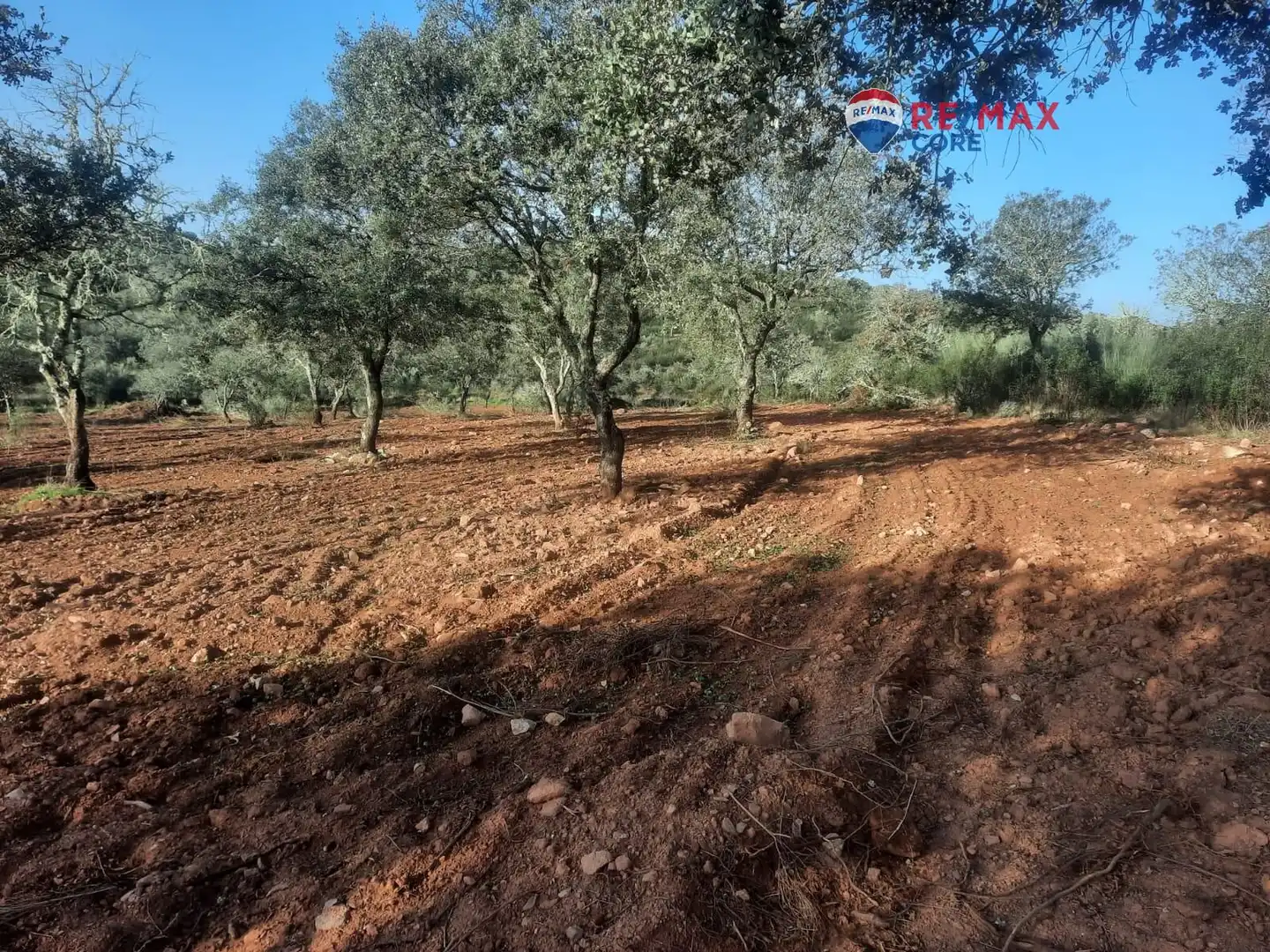Terreni e lotti in vendita a Alburquerque, imagen 55