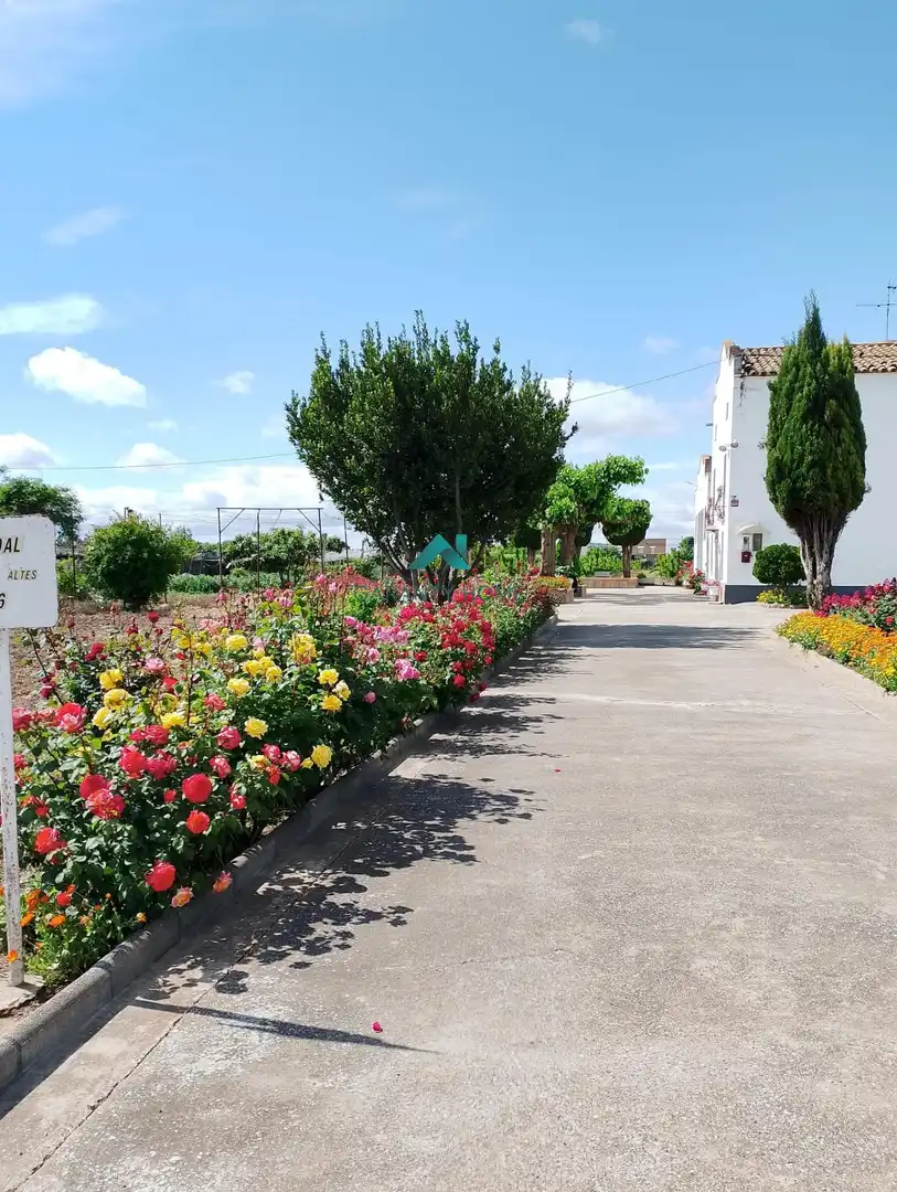 Vista exterior de Casa o chalet en venta en Lleida con Calefacción, Jardín privado y Trastero