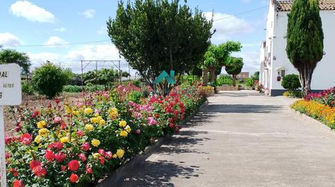 Photo 3 of Houses for sale in Centre Històric,  Lleida Capital