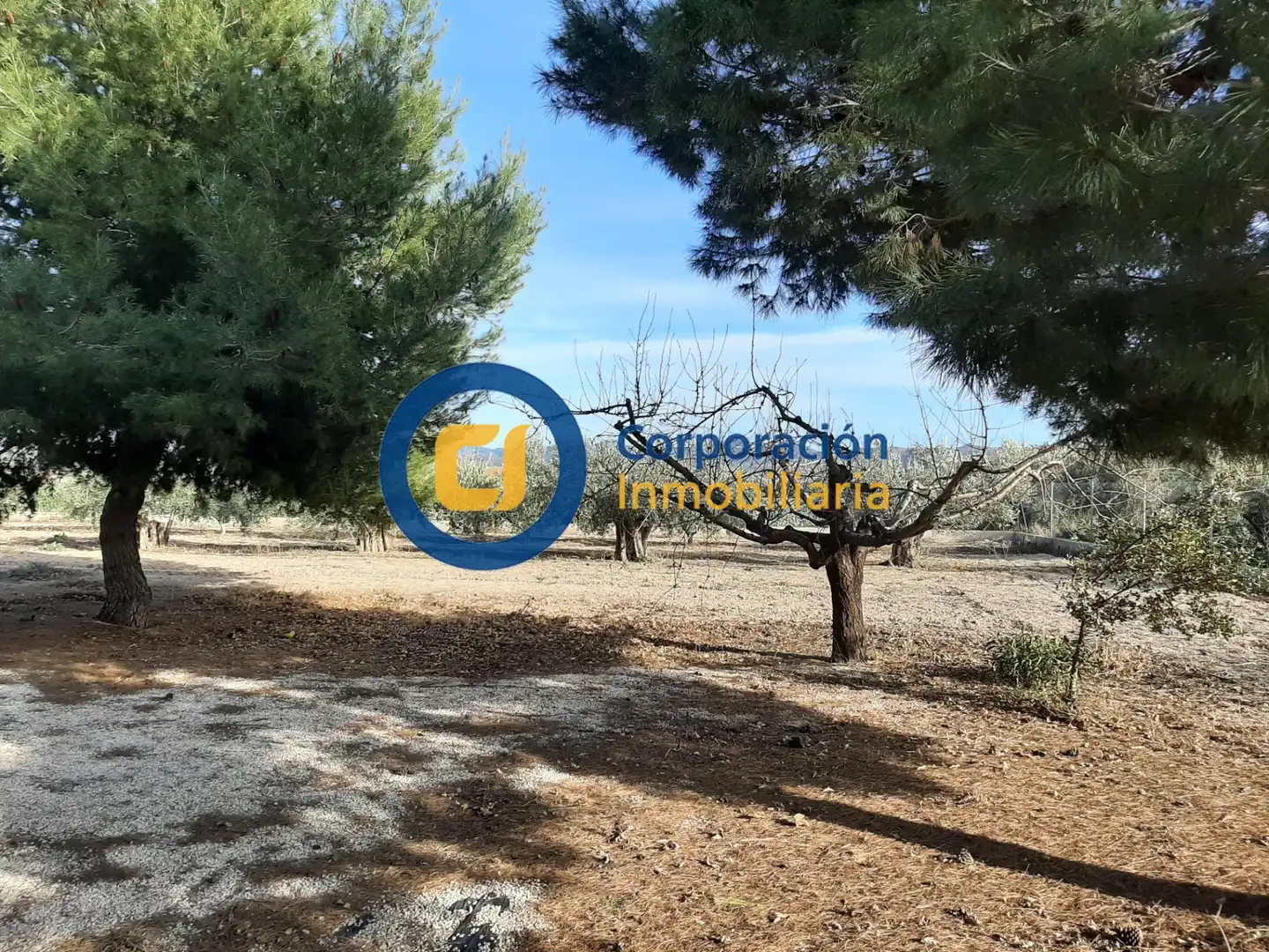 Villa con terrazza in vendita a Pedanías Centro, imagen 13