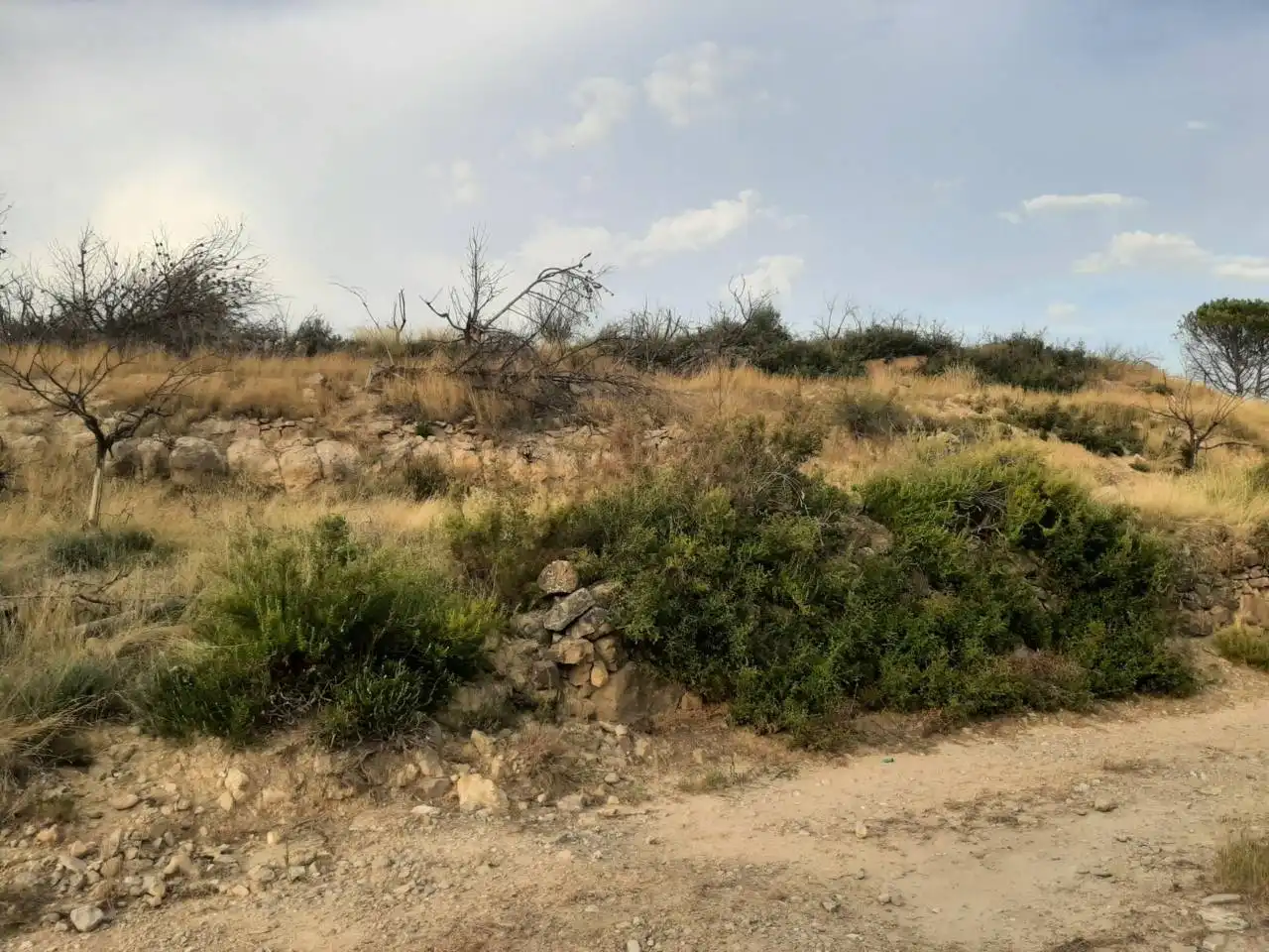 Residential for sale in Caudiel