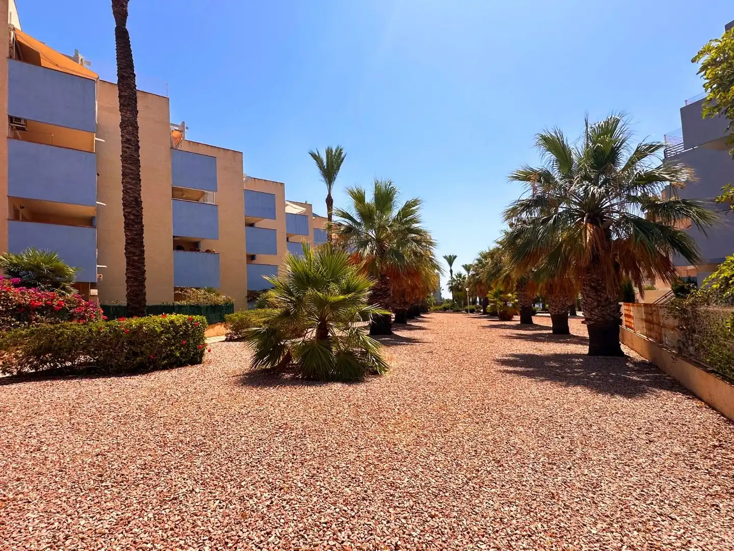 Apartamento con piscina en venta en Calle Aguamarina, imagen 42