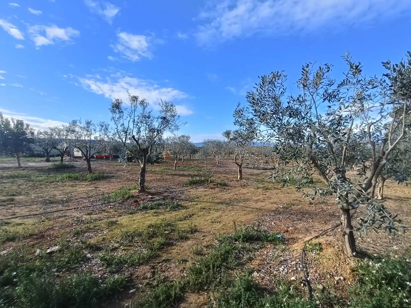 Casa o chalet en venta en Llíria