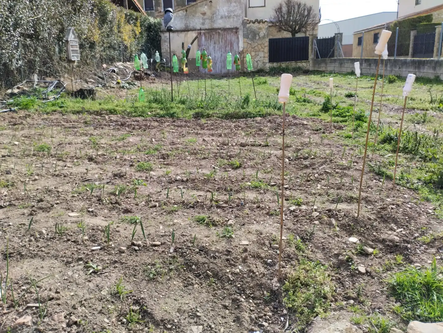 Casa o xalet en venda en San Torcuato amb Calefacció, Jardí privat i Traster