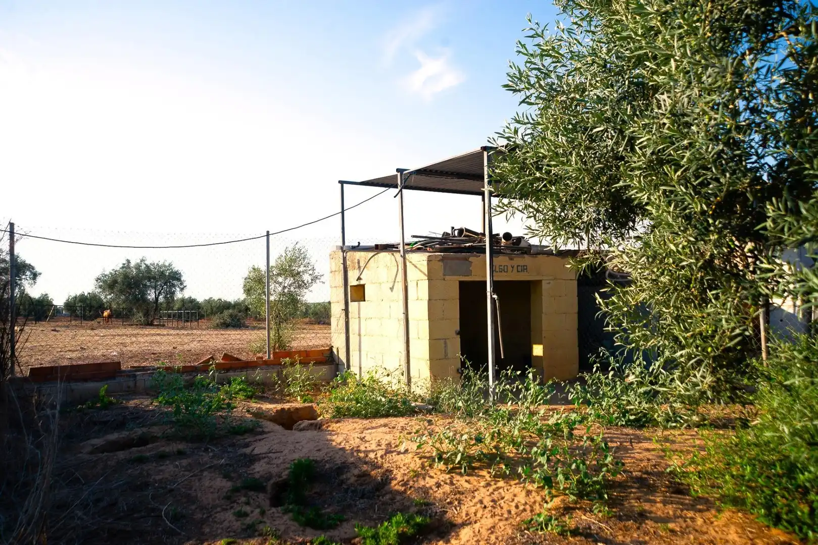 Jardín de Casa o chalet en venta en Pilas con Jardín privado y Piscina