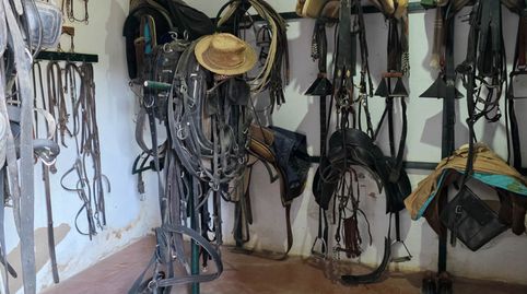 Photo 4 of Country homes for sale in Aznalcázar, Sevilla