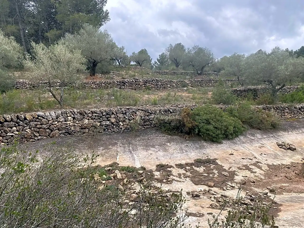 Terreno rustico in vendita a Burga, imagen 17