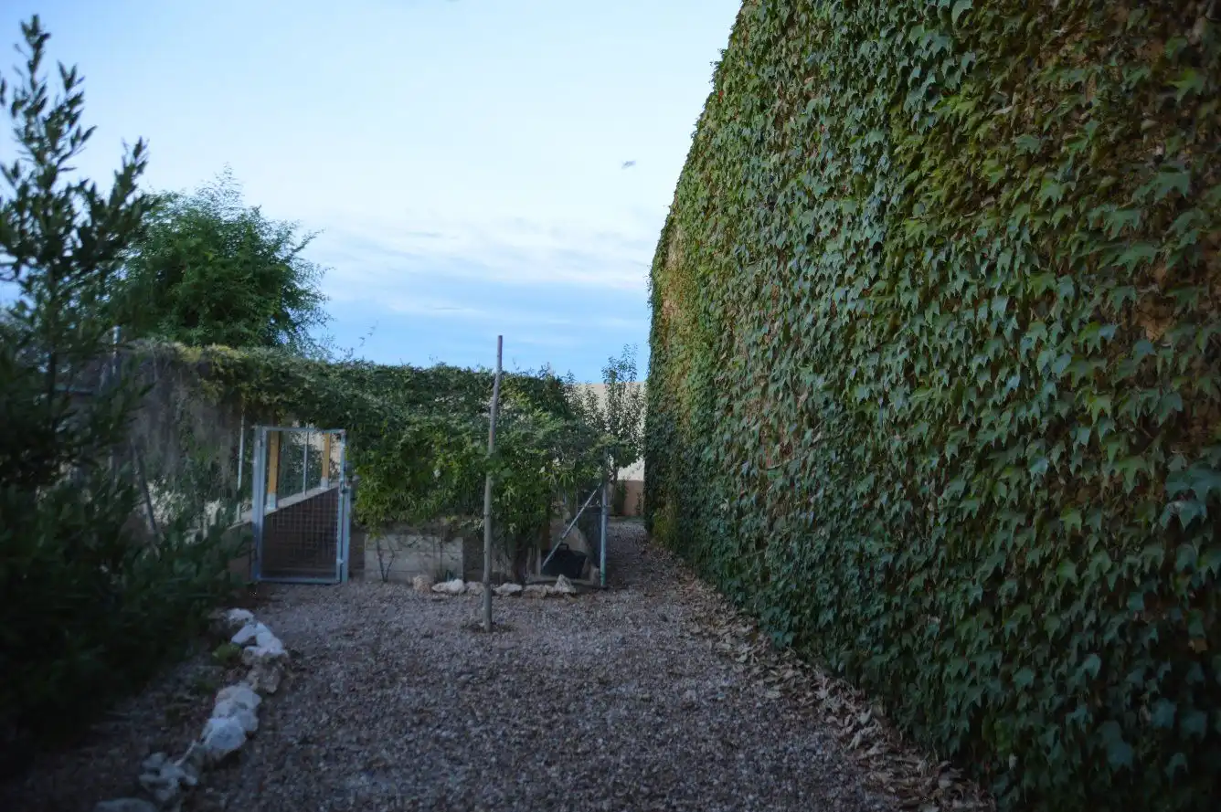 Jardín de Casa o chalet en venta en Torre del Burgo con Aire acondicionado, Jardín privado y Terraza
