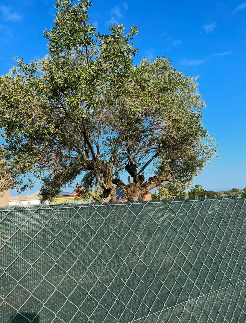 Villa avec jardin à vendre à Polígono Enchilagar del Rullo, imagen 16