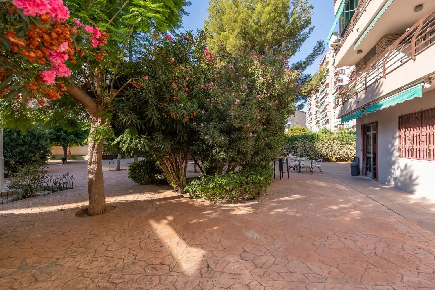 Local comercial en venta en Playa de San Juan - El Cabo de las Huertas, imagen 20