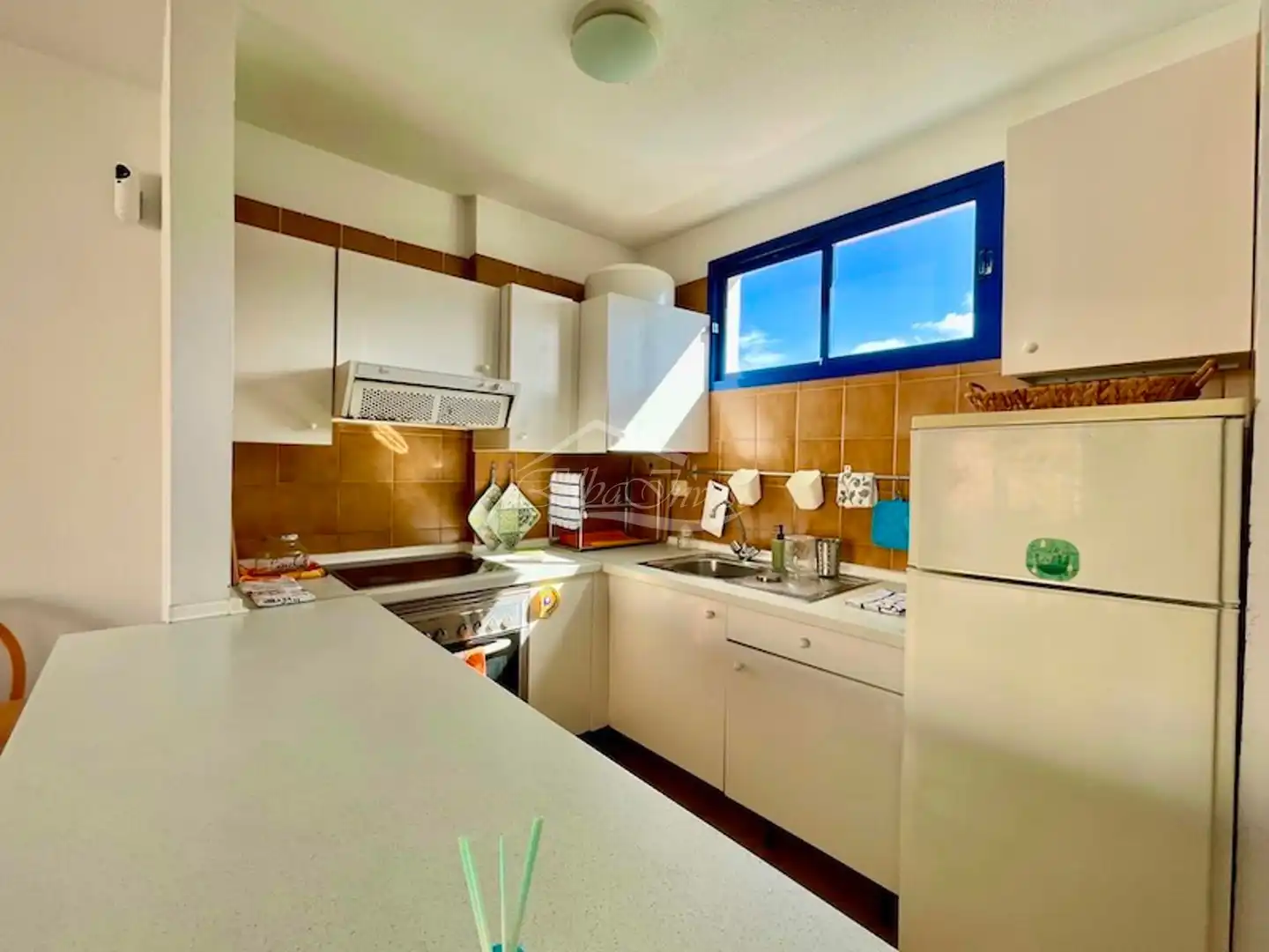 Kitchen of Duplexes for sale in Adeje  with Terrace, Furnished and Oven