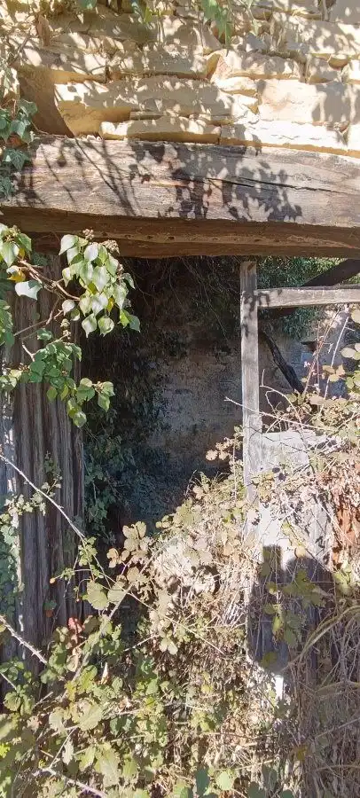 Jardí de Finca rústica en venda en La Fueva