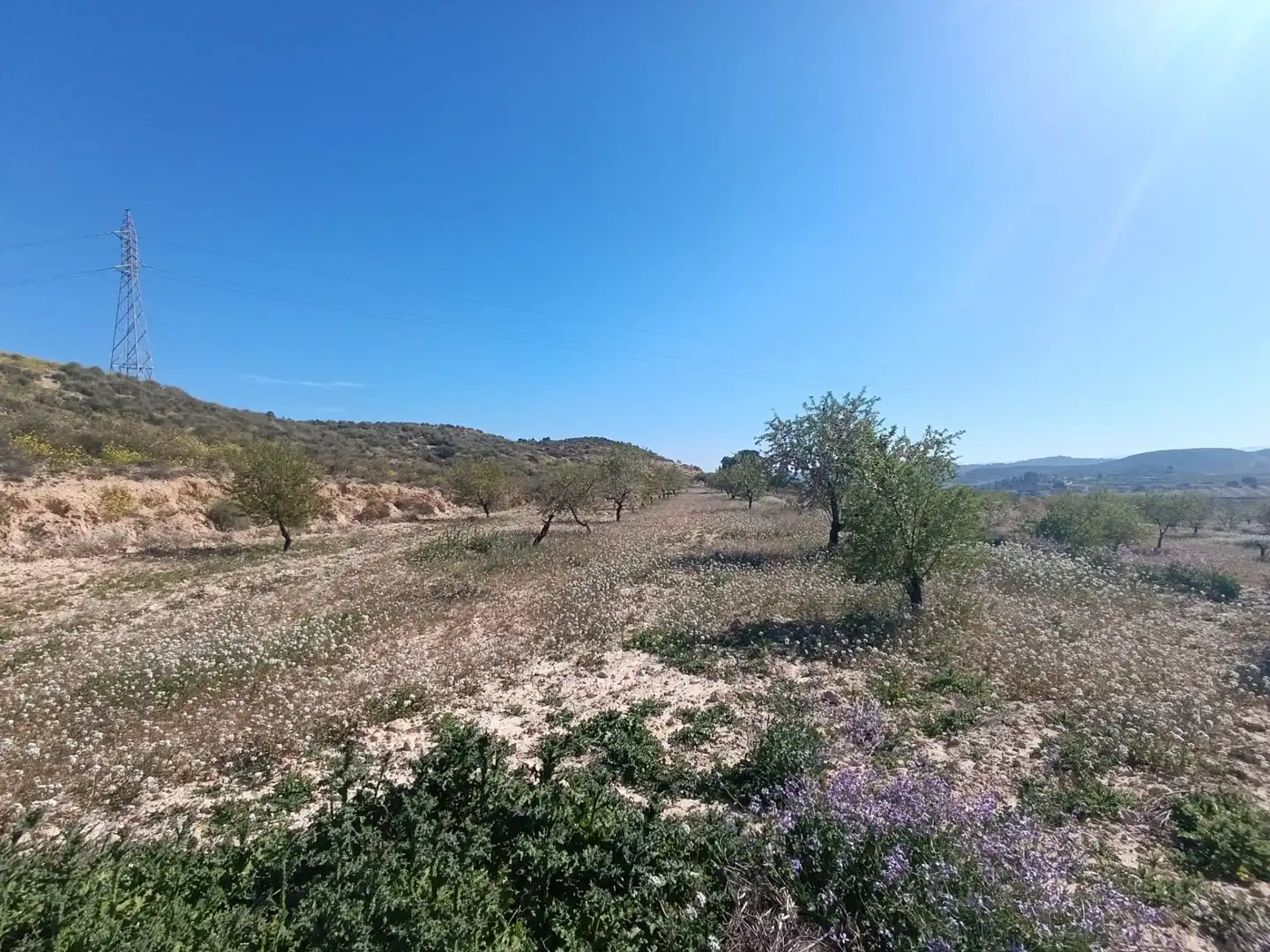 Terrenos y solares en venta en Pedanías Oeste