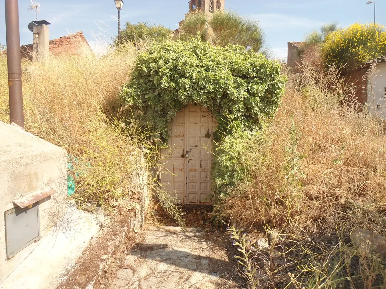 Garden of Commercial properties for sale in Arabayona de Mógica