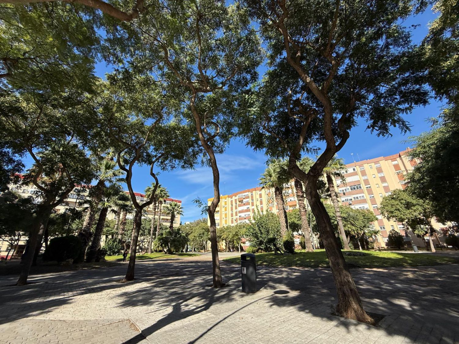 Vista exterior de Pis en venda en San Fernando amb Terrassa
