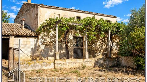 Finca rustica edificable en venta en Selva, imatge 2