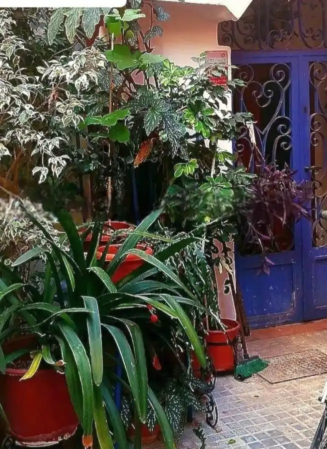 Jardí de Planta baixa en venda en  Palma de Mallorca amb Aire condicionat