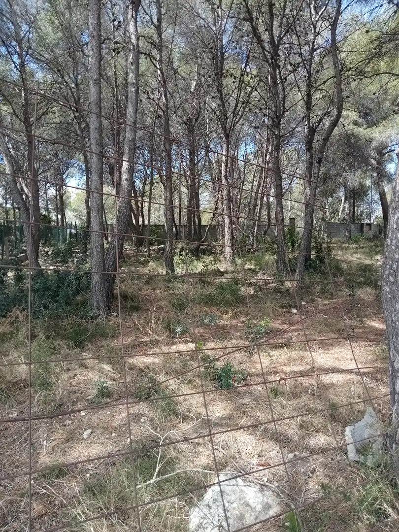 Rustikales Grundstück zum Verkauf in Avinguda de La Torre del Veguer 14, imagen 2