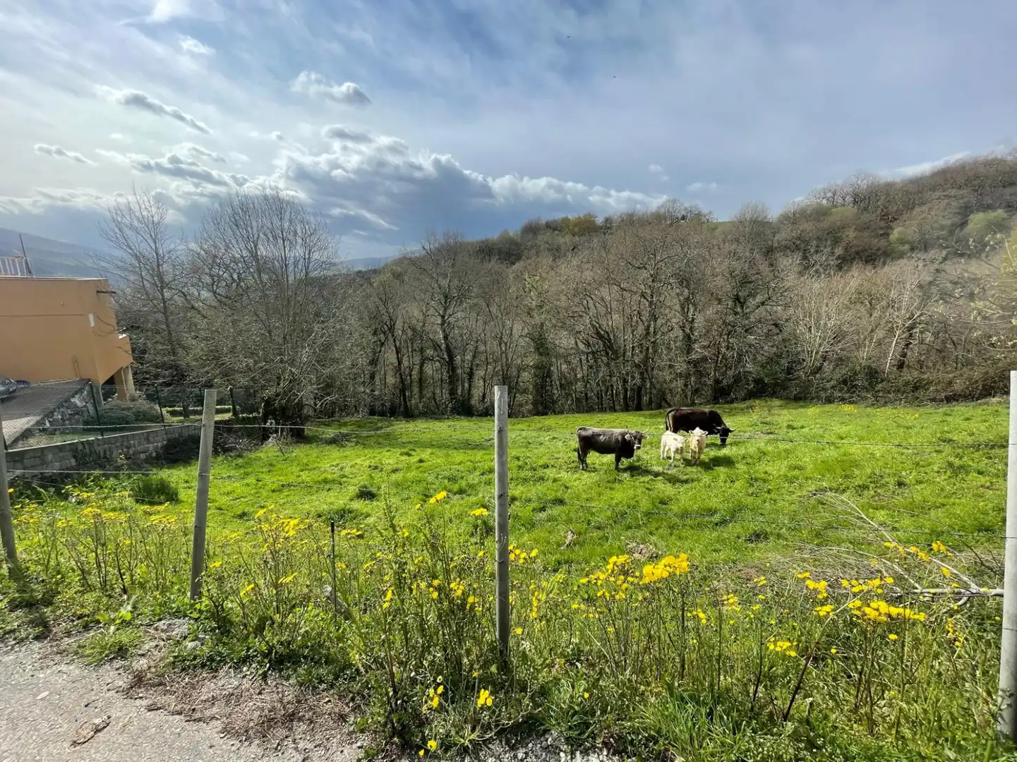 Terreni e lotti in vendita a Corvera de Toranzo, imagen 6