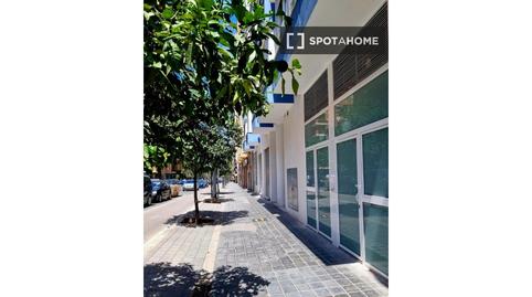 Photo 5 of Study to share in Sant Antoni, Valencia