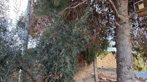 Foto 2 de Finca rústica en venda a Casillas, Murcia