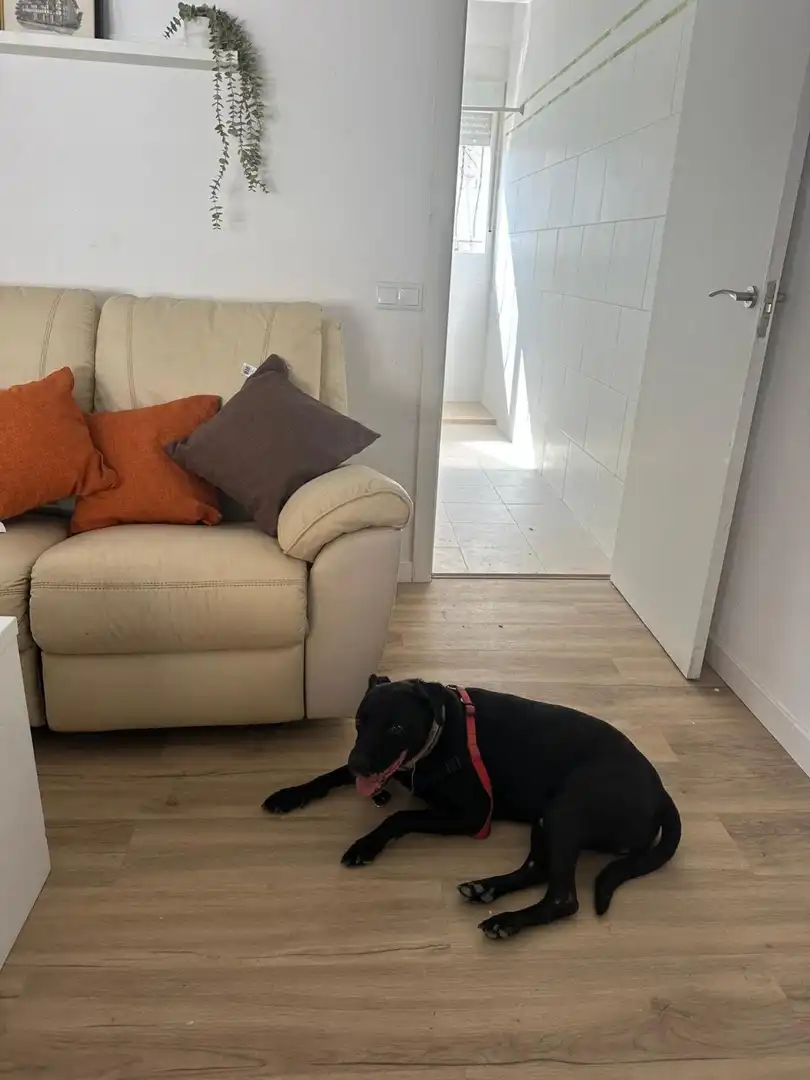 Casa en venta en Sant Jaume d'Enveja, imagen 9
