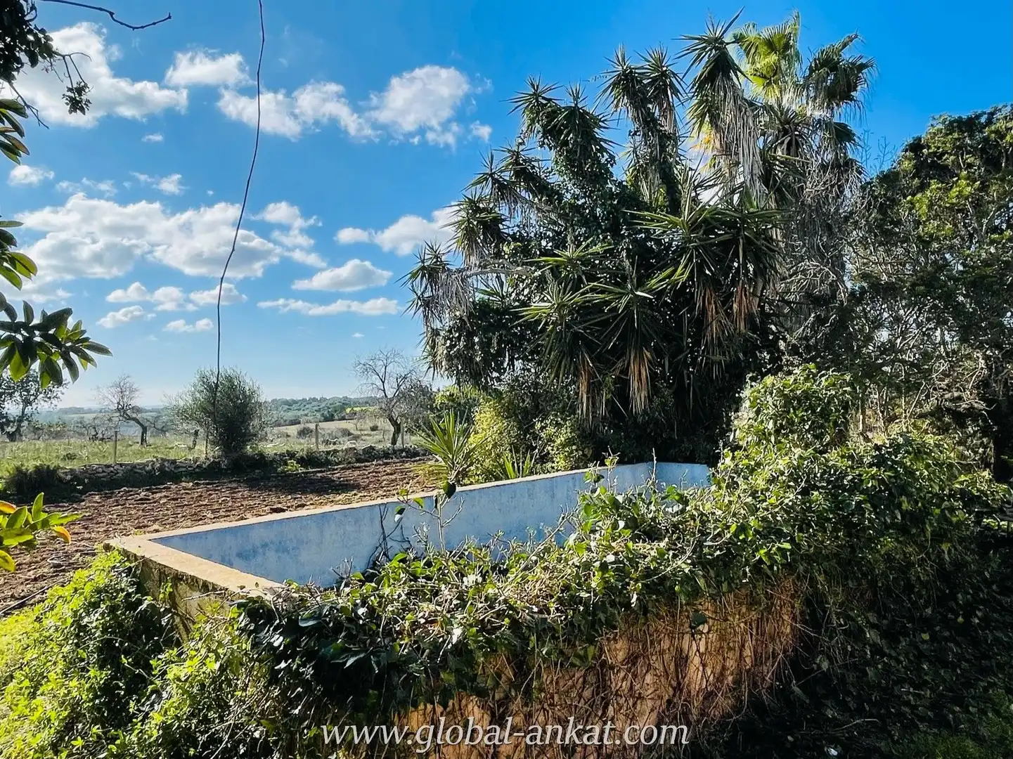 Jardín de Finca rústica en venta en Manacor