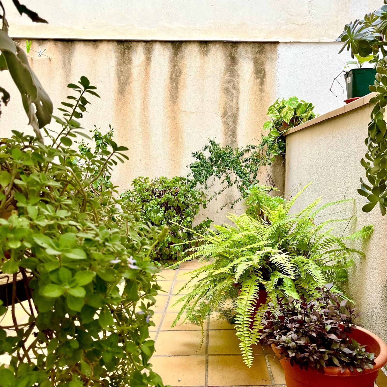 Garden of Planta baja for sale in Málaga Capital  with Terrace